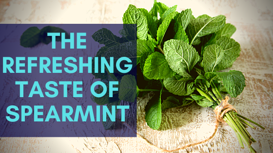 fresh spearmint tea