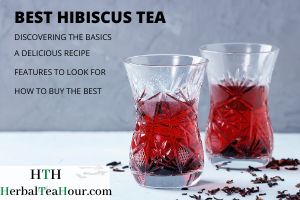 best hibiscus tea guide